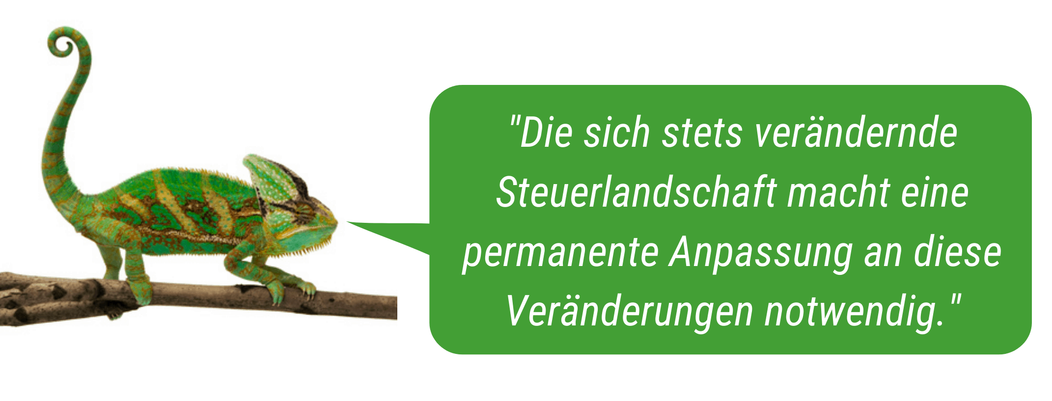 Steuerberaterin Martina Kronbiegel - Freiburg im Breisgau
